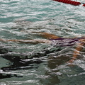 Noel 2020 - Japprends à nager (90)