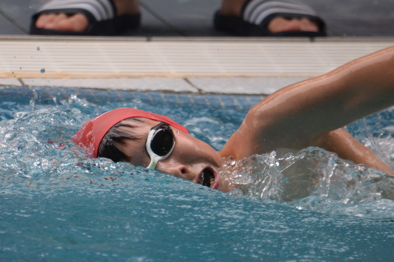 202405 - CSL 2024 (4)